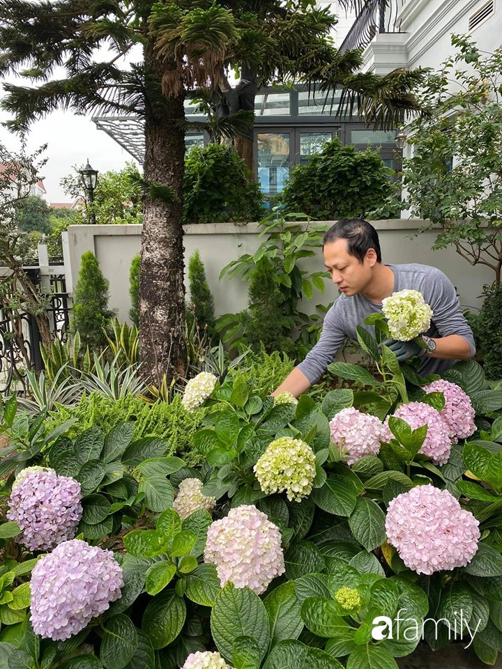 Người đàn ông đang sở hữu góc vườn đẹp hút hồn ở Hà Nội chia sẻ kinh nghiệm trồng cây để có khu vườn đẹp như châu Âu-28