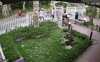 Clip: Nhóm thanh niên quây đánh quản lý ngã gục xuống đường, nguyên nhân vì bị từ chối vào khu du lịch-1