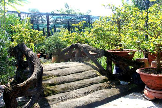 Chi 3 tỷ để chuyển giới, Lâm Khánh Chi giàu có khủng khiếp cỡ nào?-3