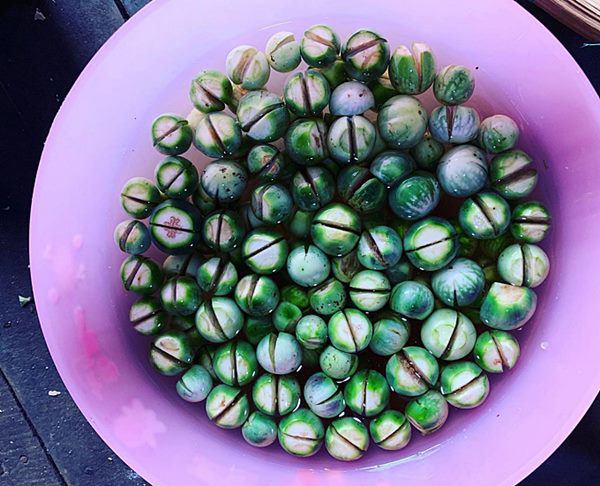 HHen Niê lên rẫy thu hoạch rau trái, từ cà pháo tới loại quả tuổi thơ ít người nhớ-4