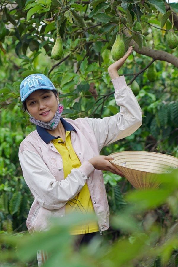 HHen Niê lên rẫy thu hoạch rau trái, từ cà pháo tới loại quả tuổi thơ ít người nhớ-9
