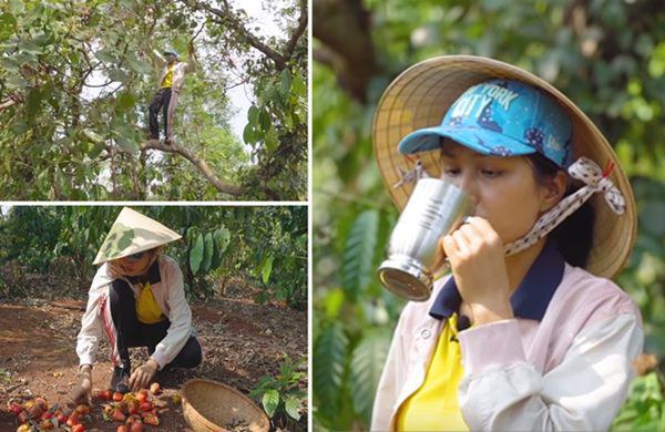 HHen Niê lên rẫy thu hoạch rau trái, từ cà pháo tới loại quả tuổi thơ ít người nhớ-10