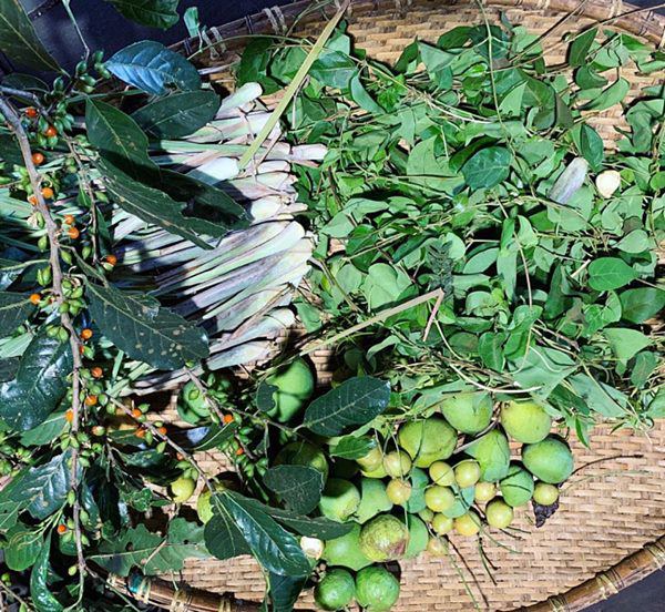 HHen Niê lên rẫy thu hoạch rau trái, từ cà pháo tới loại quả tuổi thơ ít người nhớ-11