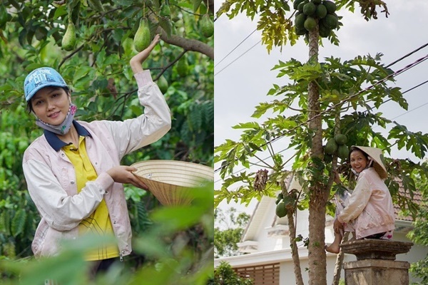 HHen Niê về quê tránh dịch để tiết kiệm chi phí, đặc biệt còn liên quan đến việc lấy chồng?-9