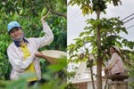 Khu vườn nhỏ trên sân thượng của vợ chồng Khánh Thi - Phan Hiển: Một m2 có thể chụp cả chục ảnh sống ảo-17