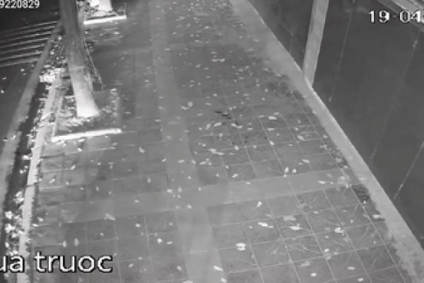 Ôtô chạy trốn cảnh sát húc bay rào chắn, suýt rơi xuống sông-1