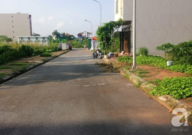 Ôm mộng làm giàu, 2 năm mua 3 mảnh đất, cặp vợ chồng trẻ phải bán nhà trả nợ ngân hàng mỗi tháng 38 triệu-1