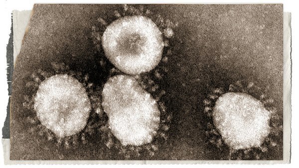 Lịch sử bí ẩn của họ virus corona: Từ cơn cảm lạnh thông thường đến những đại dịch toàn cầu-6