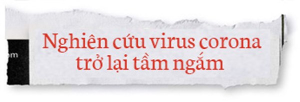 Lịch sử bí ẩn của họ virus corona: Từ cơn cảm lạnh thông thường đến những đại dịch toàn cầu-7