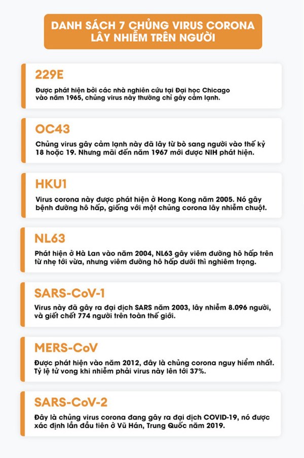 Lịch sử bí ẩn của họ virus corona: Từ cơn cảm lạnh thông thường đến những đại dịch toàn cầu-8