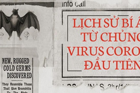 Lịch sử bí ẩn của họ virus corona: Từ cơn cảm lạnh thông thường đến những đại dịch toàn cầu
