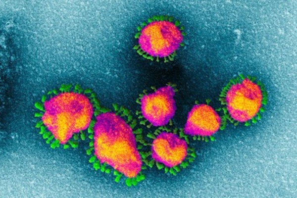 Không có ca mắc Covid-19 mới, hơn 15.000 người đang cách ly-2