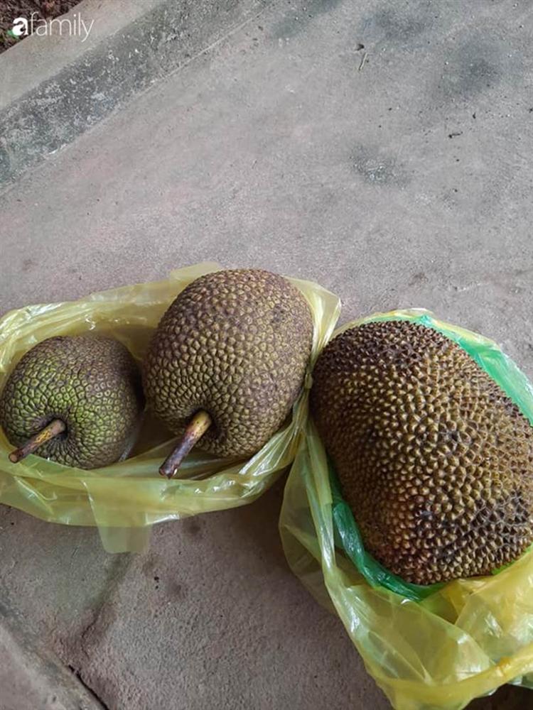 Sống cách Hà Nội 12km, vợ chồng trẻ thu nhập 15 triệu, mùa dịch chỉ tiêu 2,7 triệu đồng/tháng cho gia đình 5 người, tiết kiệm 12 triệu-2