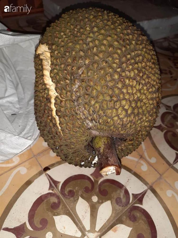 Sống cách Hà Nội 12km, vợ chồng trẻ thu nhập 15 triệu, mùa dịch chỉ tiêu 2,7 triệu đồng/tháng cho gia đình 5 người, tiết kiệm 12 triệu-3