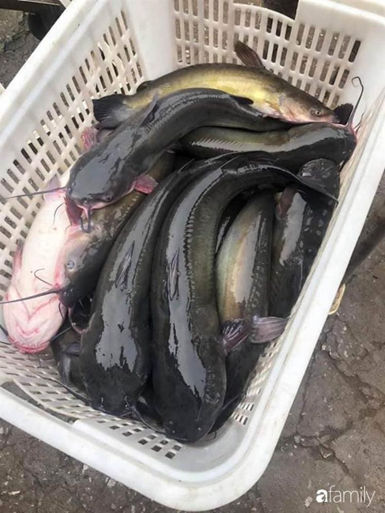 Sống cách Hà Nội 12km, vợ chồng trẻ thu nhập 15 triệu, mùa dịch chỉ tiêu 2,7 triệu đồng/tháng cho gia đình 5 người, tiết kiệm 12 triệu-5