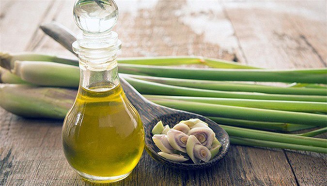 How to make lemongrass essential oil to repel mosquitoes with natural ingredients available at home-1