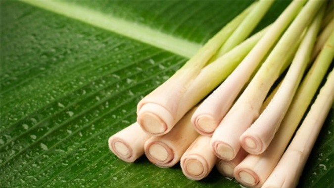 How to make lemongrass essential oil to repel mosquitoes with natural ingredients available at home-2