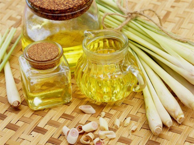 How to make lemongrass essential oil to repel mosquitoes with natural ingredients available at home-3