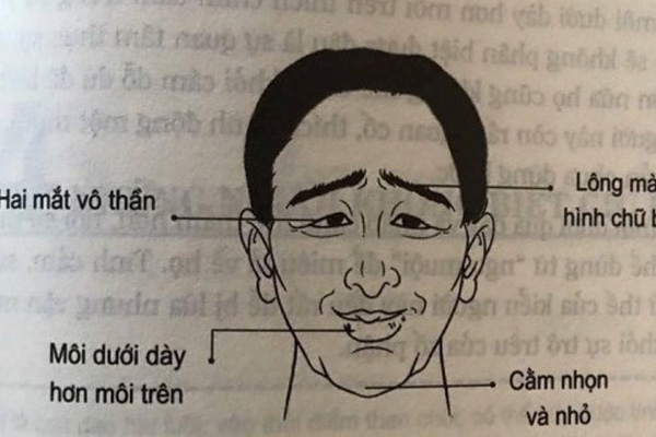 Phụ nữ sinh vào tháng âm lịch này là người sắc sảo, nhạy bén, năm 2020 làm đâu thắng đó, tài lộc tới tấp như mưa rào-4