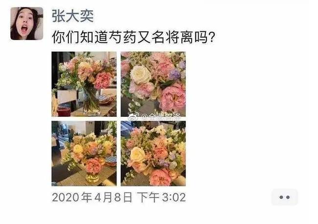 Hotgirl bị tố cặp kè với chủ tịch Taobao: Từ thần tượng của giới trẻ yêu thời trang trở thành Tuesday, muốn soán ngôi chính thất-4