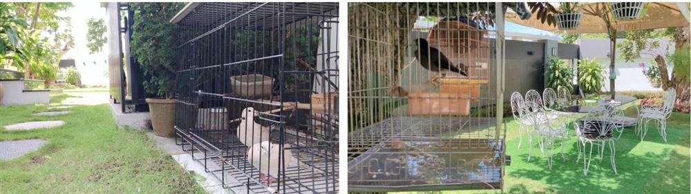 Soi từng góc trong căn biệt thự 25 tỷ của Quốc Trường - Vũ Về nhà đi con, đảm bảo hội nghiện nhà sẽ mê tít cho mà coi-4