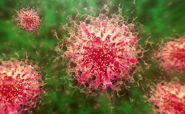 Đột biến kỳ lạ ở virus corona: Phát hiện biến thể có khả năng sinh sản gấp 270 lần chủng khác-1