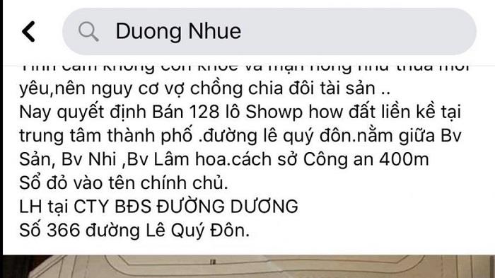 Vợ chồng Đường Dương dùng mánh khóe nào để đấu giá đất?-1