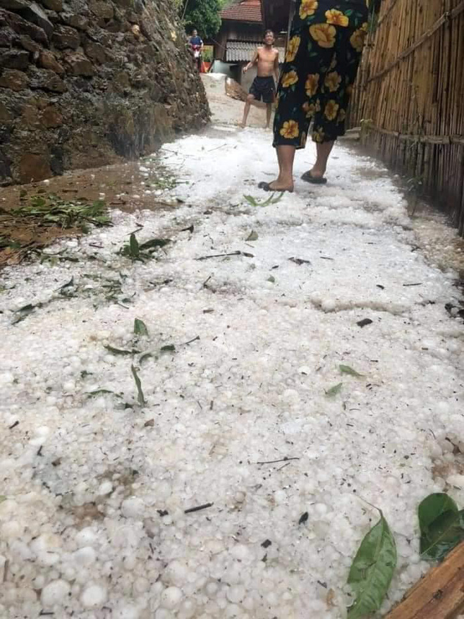 Mưa đá to như quả trứng kéo dài suốt 20 phút ở xã biên giới Nghệ An-2