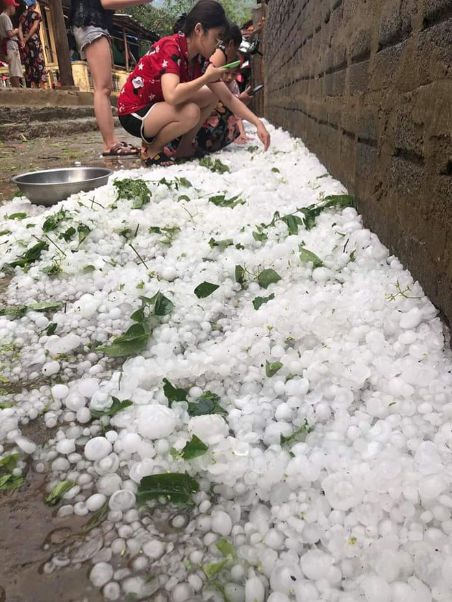 Mưa đá to như quả trứng kéo dài suốt 20 phút ở xã biên giới Nghệ An-3