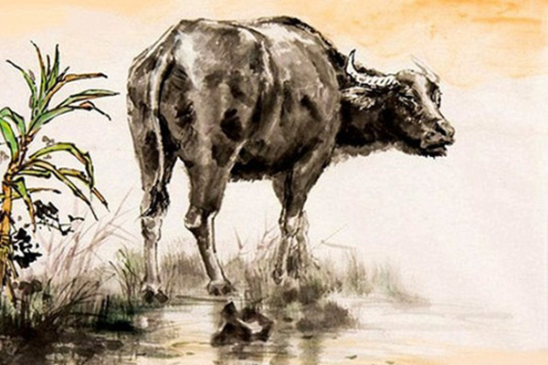 3 nàng giáp lười chảy thây nhưng luôn được chồng yêu chiều hết mực, sống như bà hoàng-4