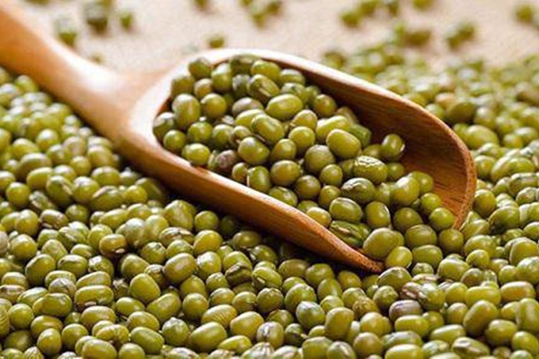 Phổi nam phi công người Anh đang tái sinh, không thể nói trước nhưng hi vọng trên 50% có thể cứu sống được bệnh nhân-14