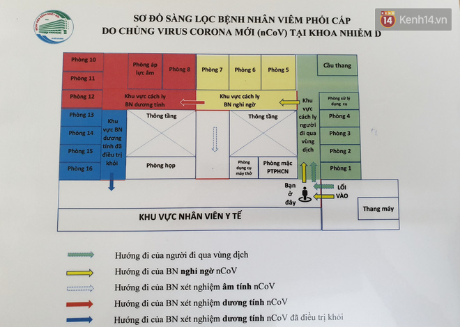 Phổi nam phi công người Anh đang tái sinh, không thể nói trước nhưng hi vọng trên 50% có thể cứu sống được bệnh nhân-7