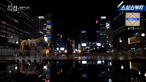 Hậu trường cực hài của Quân Vương Bất Diệt: Ngựa cưng Maximus dằn mặt Kim Go Eun vì tình tứ với Lee Min Ho?-3