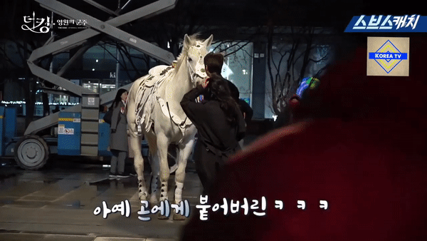 Hậu trường cực hài của Quân Vương Bất Diệt: Ngựa cưng Maximus dằn mặt Kim Go Eun vì tình tứ với Lee Min Ho?-5
