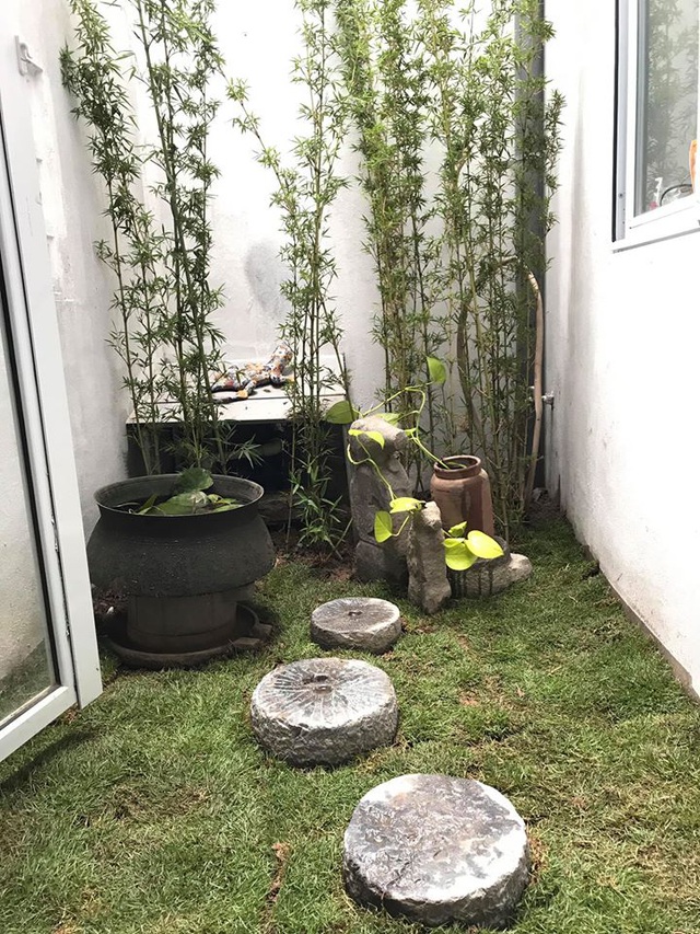 Nhà tổ chim” ở Hà Nội gây ấn tượng bởi thiết kế không giống ai-11