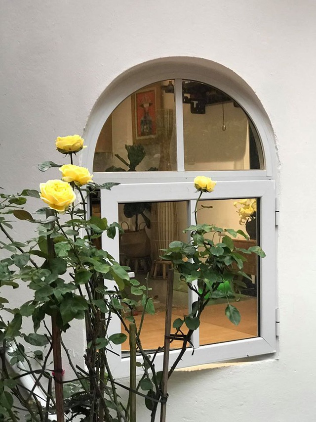 Nhà tổ chim” ở Hà Nội gây ấn tượng bởi thiết kế không giống ai-15