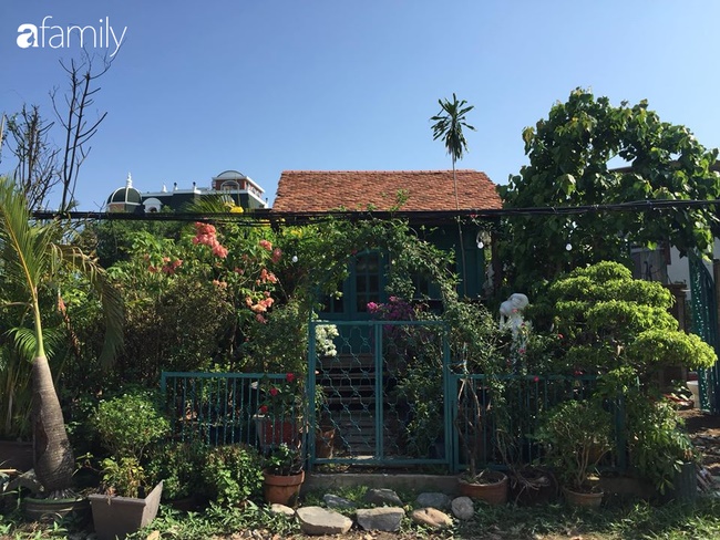 Ngó căn nhà sàn 28m² tự làm giữa Sài Gòn tấp nập vẫn ngập tràn ánh nắng, toàn màu xanh cỏ cây ngoài hiên nhà với chi phí chưa đến 100 triệu đồng-1