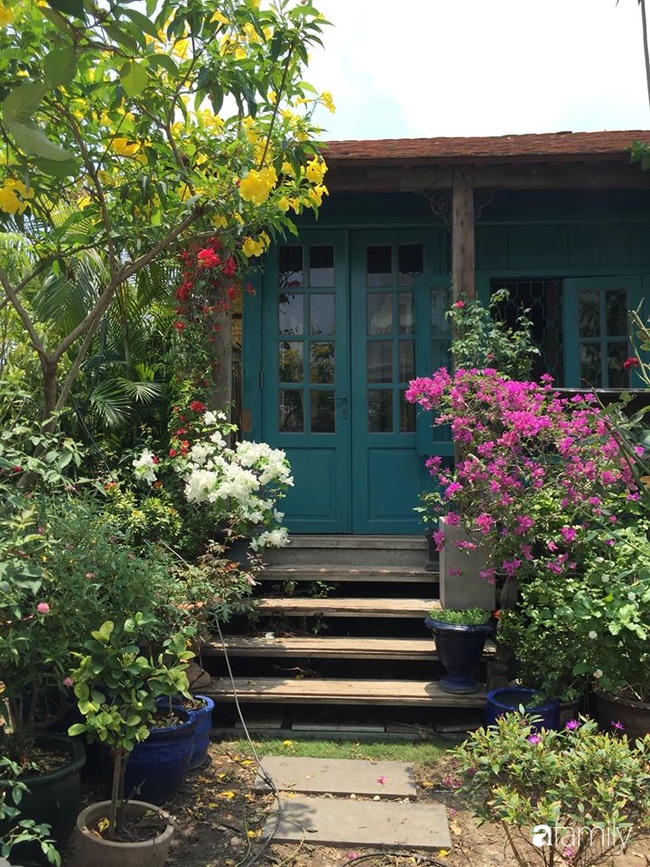 Ngó căn nhà sàn 28m² tự làm giữa Sài Gòn tấp nập vẫn ngập tràn ánh nắng, toàn màu xanh cỏ cây ngoài hiên nhà với chi phí chưa đến 100 triệu đồng-2