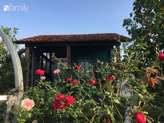 Ngó căn nhà sàn 28m² tự làm giữa Sài Gòn tấp nập vẫn ngập tràn ánh nắng, toàn màu xanh cỏ cây ngoài hiên nhà với chi phí chưa đến 100 triệu đồng-13