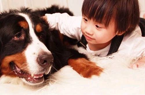 Sao nhí bị bố coi như cây rụng tiền”, bắt đóng phim thâu đêm, bị bệnh không cho chữa-2