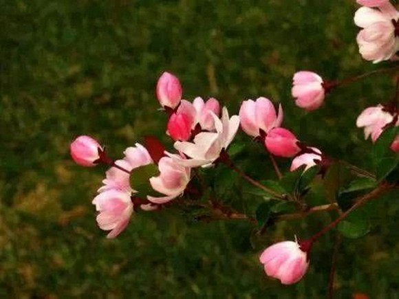 Bắt đầu từ cuối tháng 4, 4 con giáp tài lộc tới tấp, thuận buồm xuôi gió, cuộc sống khó khăn mấy cũng chuyển biến tích cực-2