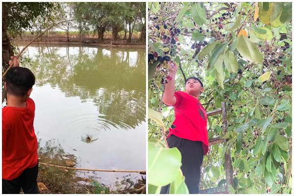 Nghỉ dịch dài ngày, Lê Phương dẫn cả gia đình về Tây Ninh trồng cây, hái quả-9