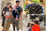 Lê Phương cùng chồng con thu hoạch trái cây nặng trĩu tại trang trại riêng-18