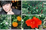 Những vườn hồng trăm triệu trong nhà sao: Hà Tăng, Quyền Linh, Khánh Thi... ai đỉnh hơn?-18