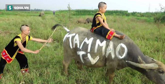 Anh em Tam Mao nói về thu nhập và căn biệt thự gây xôn xao-2