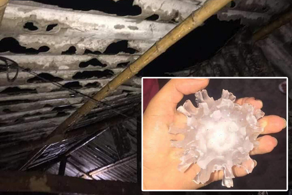 Clip: Mưa đá trút kinh hoàng xuống ruộng tại Cao Bằng, phát tiếng kêu lớn như súng nổ khiến nhiều người sợ hãi-3