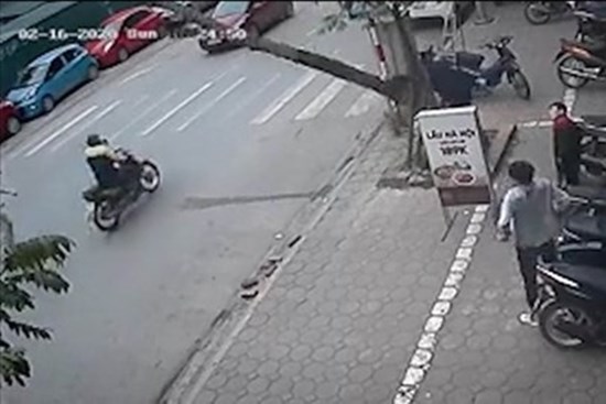 Khoảnh khắc thanh niên cưa cây suýt đổ trúng đầu người đi bộ và xe máy
