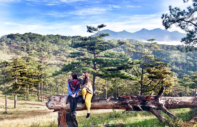 Giá vé máy bay giảm mạnh, lên kế hoạch đi du lịch-1