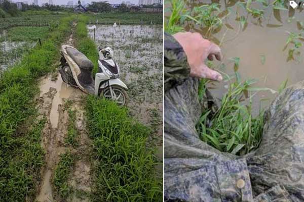 Chú chó nổi lềnh phềnh trên sông khiến sen phát khóc, được cứu thì ton ton đứng dậy và bản mặt nhìn muốn... đánh-5