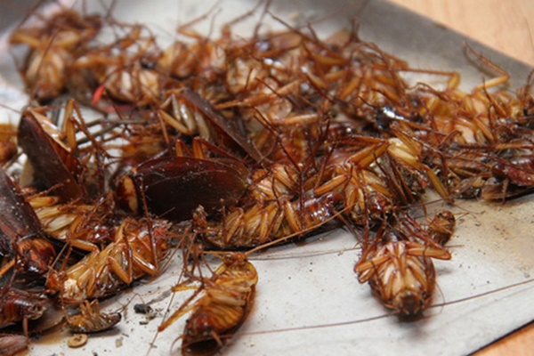 Chỉ với nguyên liệu tưởng vứt thùng rác này, lưỡi dao máy xay sinh tố cùn mấy cũng sắc lẹm trở lại-5